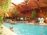 online bookings for airline tickets, hotel bookings, car rentals, cruises, vacations, travel and tours to all destinations